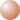 FL-41